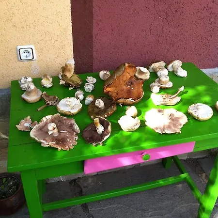 Ashkova House ゴヴェダルツィ